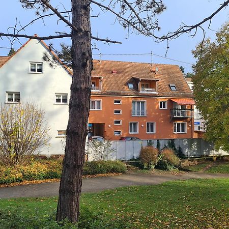 Meubles Du 25 N3 Studio 1Er Etage Niederbronn-les-Bains Eksteriør billede