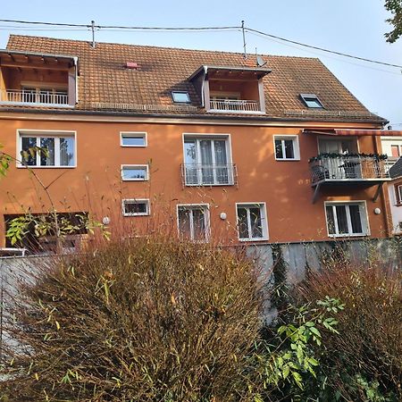 Meubles Du 25 N3 Studio 1Er Etage Niederbronn-les-Bains Eksteriør billede