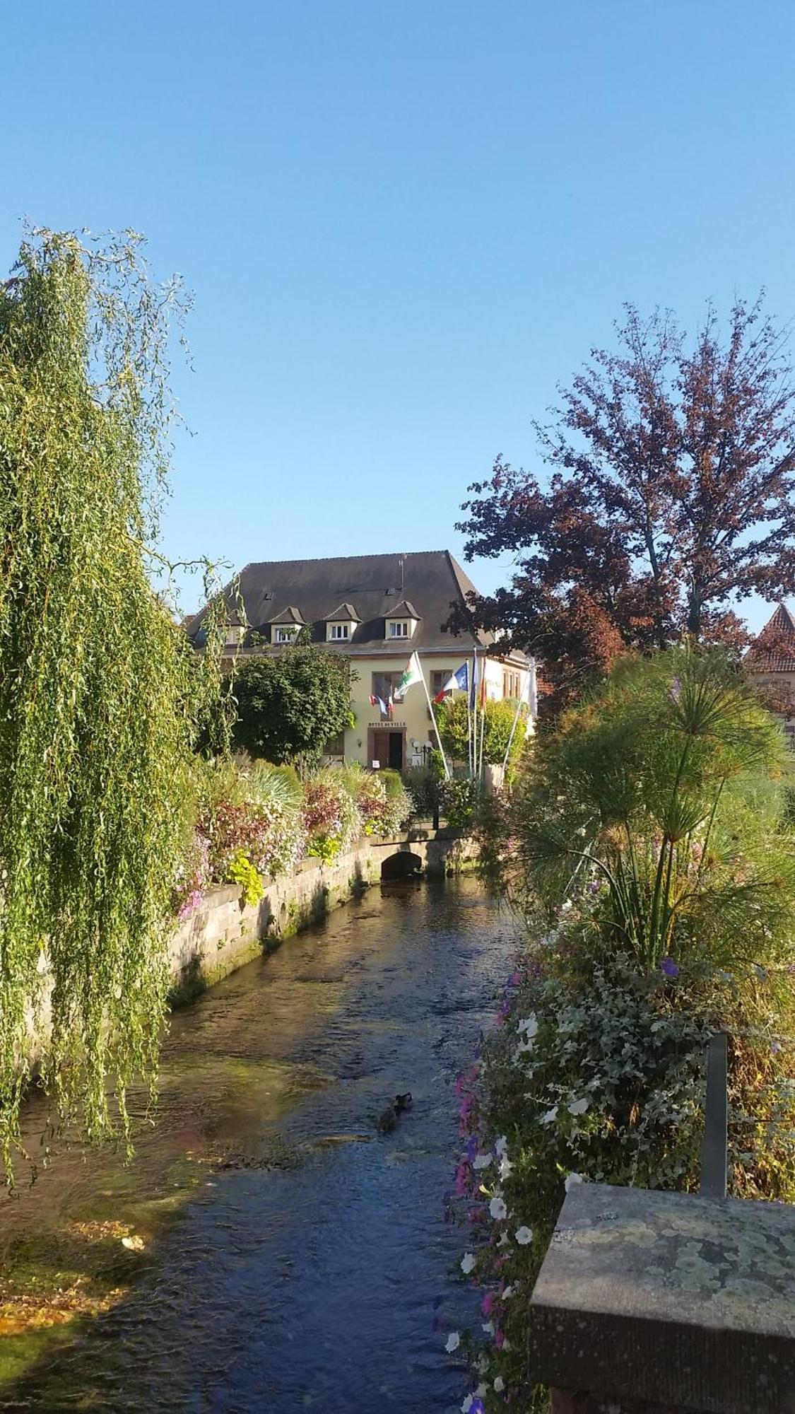 Meubles Du 25 N3 Studio 1Er Etage Niederbronn-les-Bains Eksteriør billede