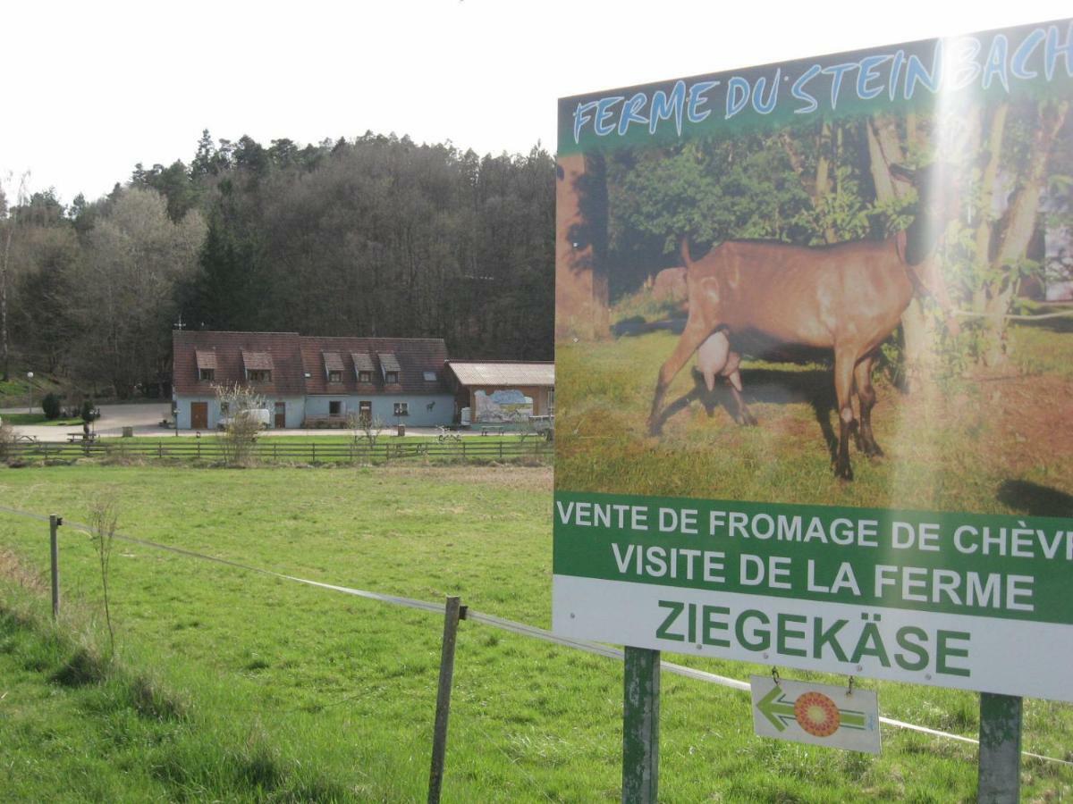Meubles Du 25 N3 Studio 1Er Etage Niederbronn-les-Bains Eksteriør billede
